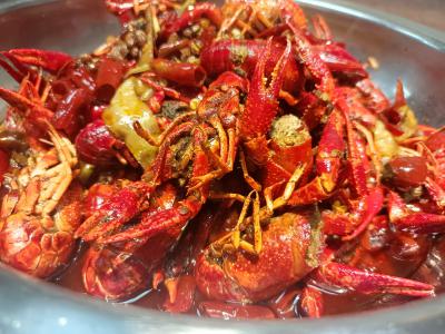  麻辣小龍蝦技術91视频安全网站學校哪家好？