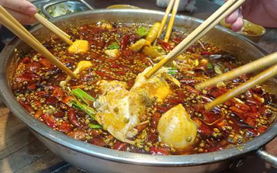 成都火鍋美蛙魚哪裏教學好？學習美蛙魚要多久